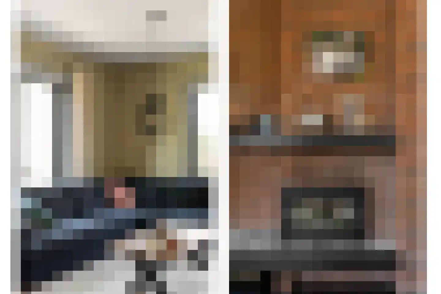 Wilgenhof 2 Streefkerk thumbnail 10
