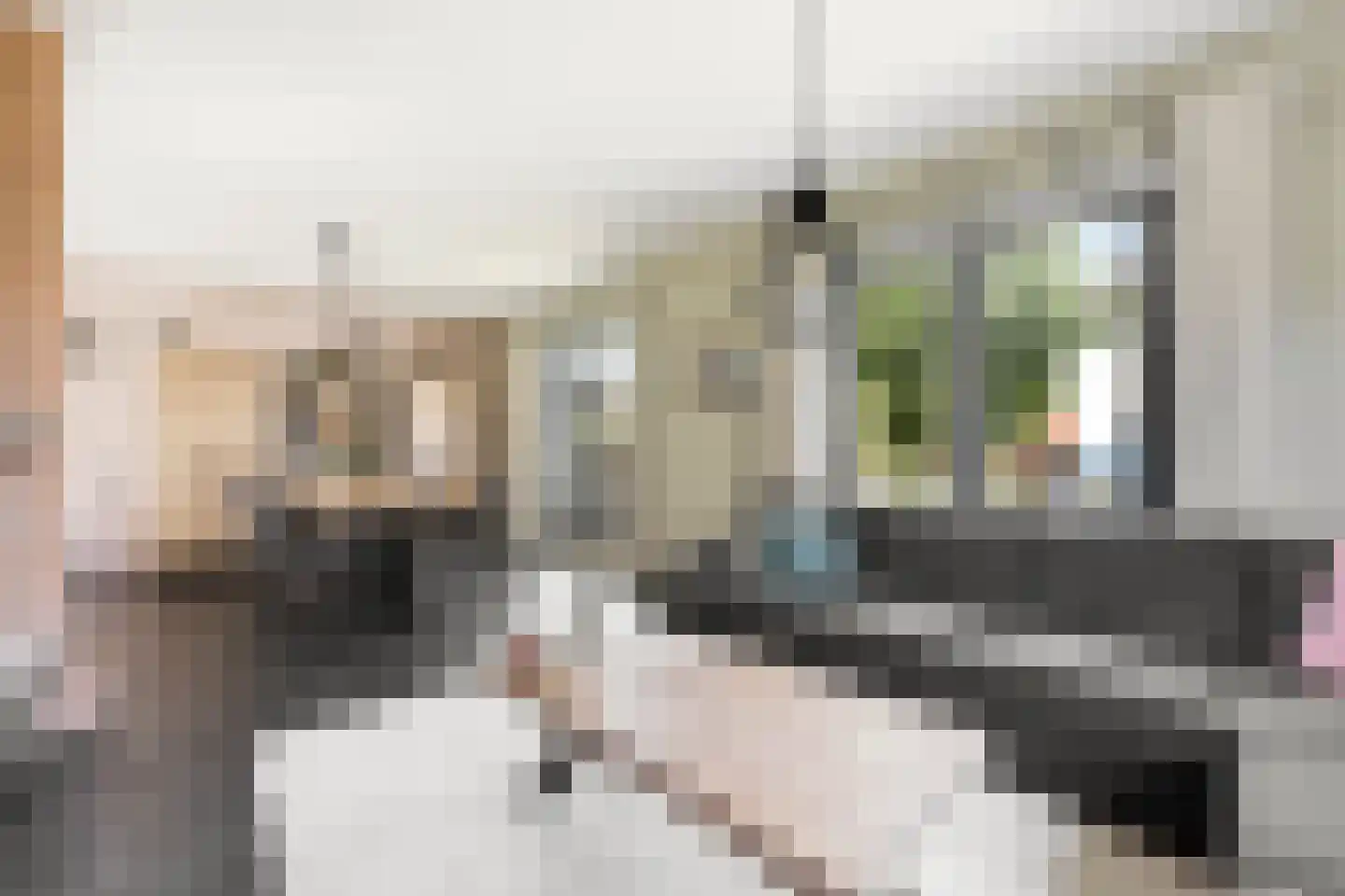 Wilgenhof 2 Streefkerk thumbnail 12