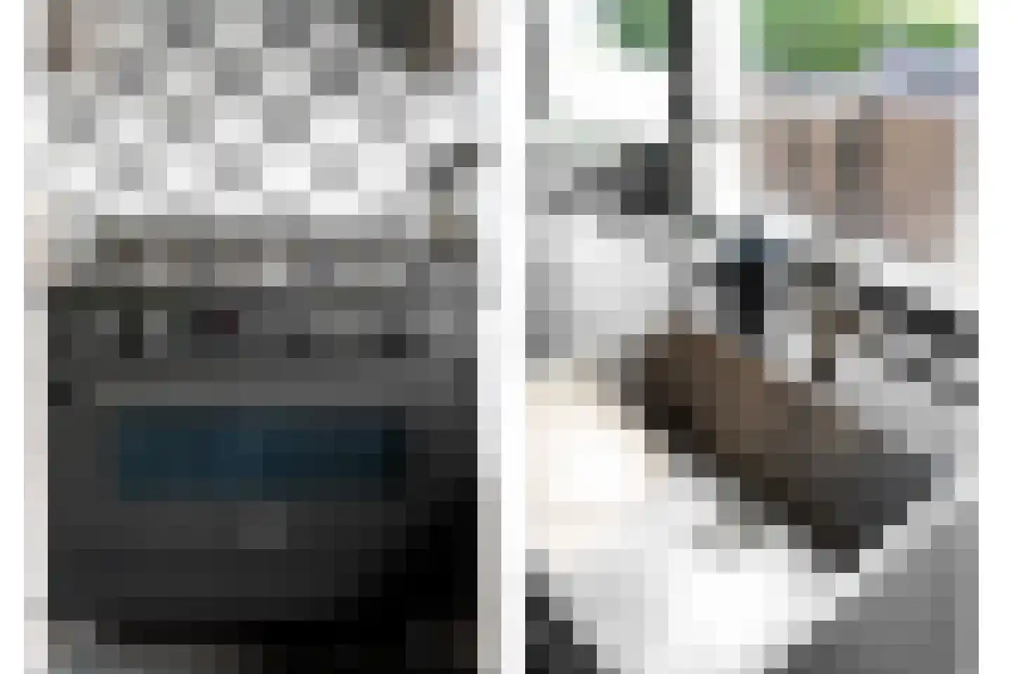Wilgenhof 2 Streefkerk thumbnail 17