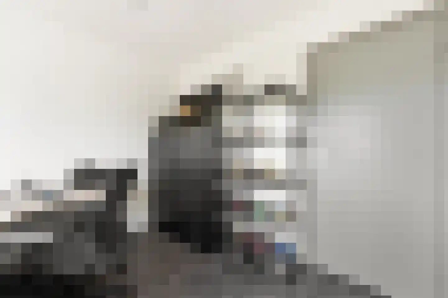 Wilgenhof 2 Streefkerk thumbnail 19