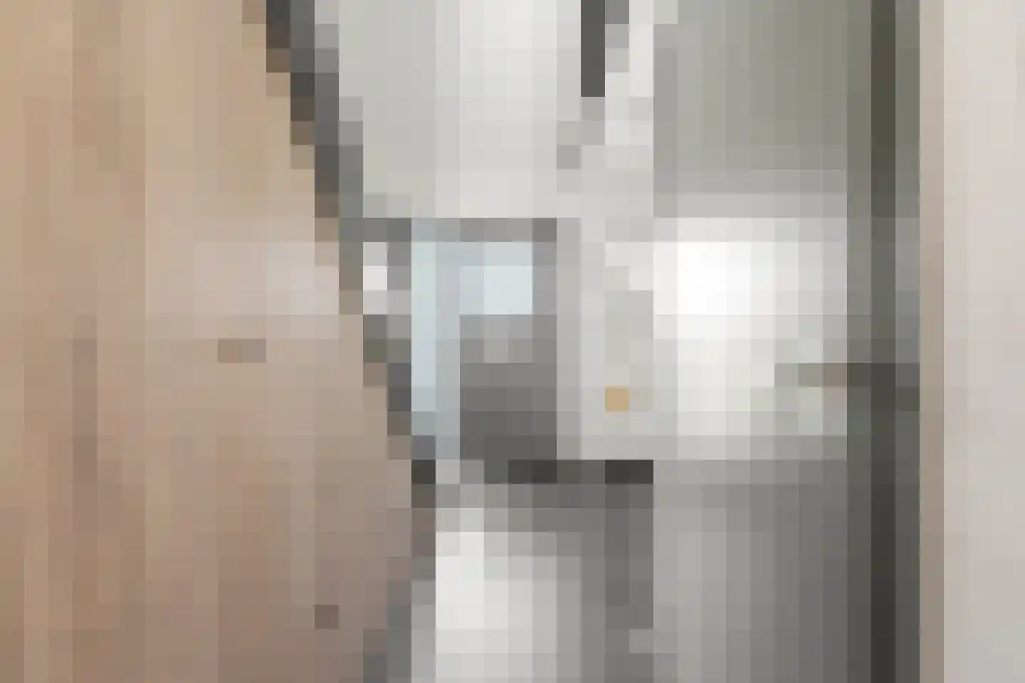 Wilgenhof 2 Streefkerk thumbnail 23