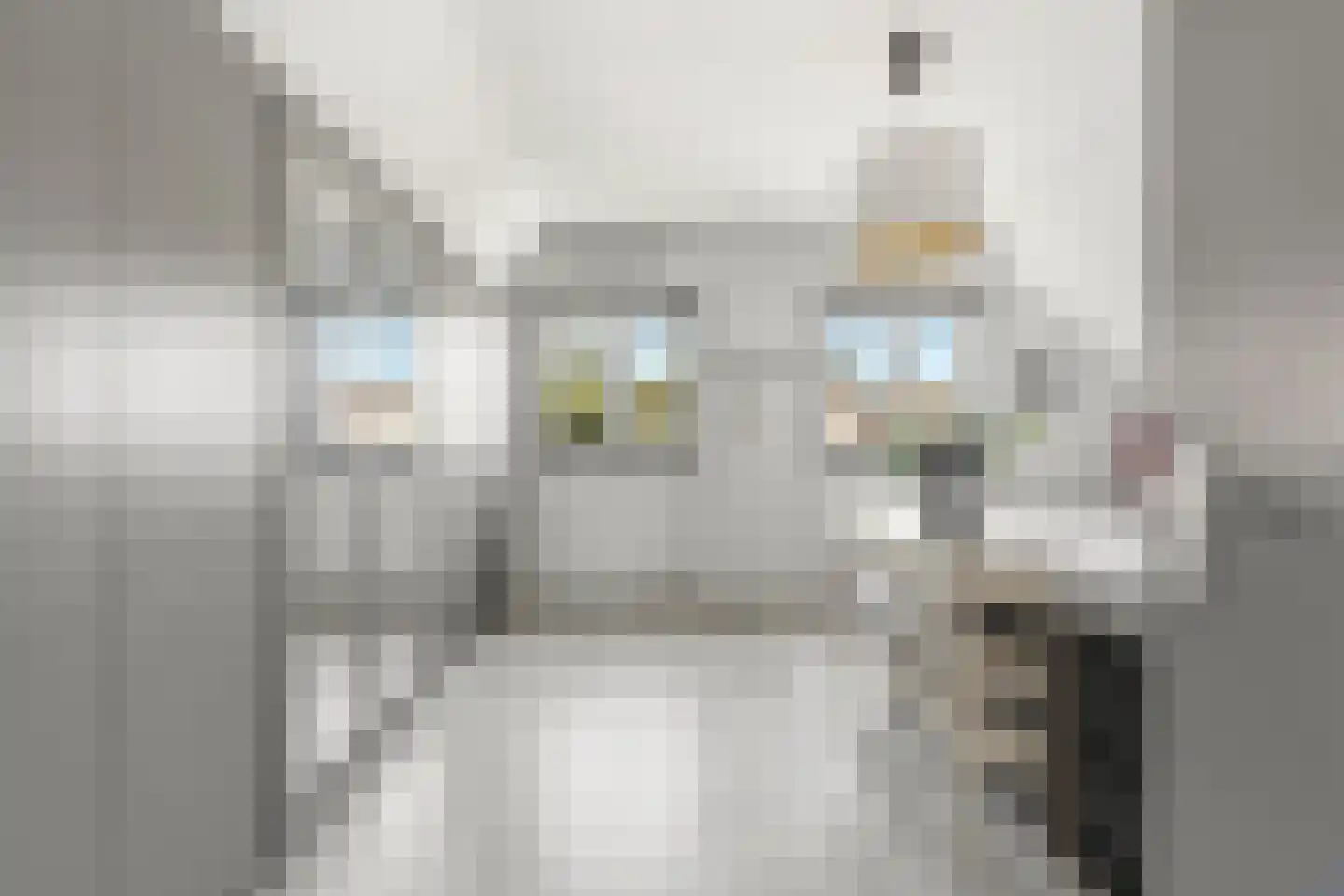 Wilgenhof 2 Streefkerk thumbnail 25