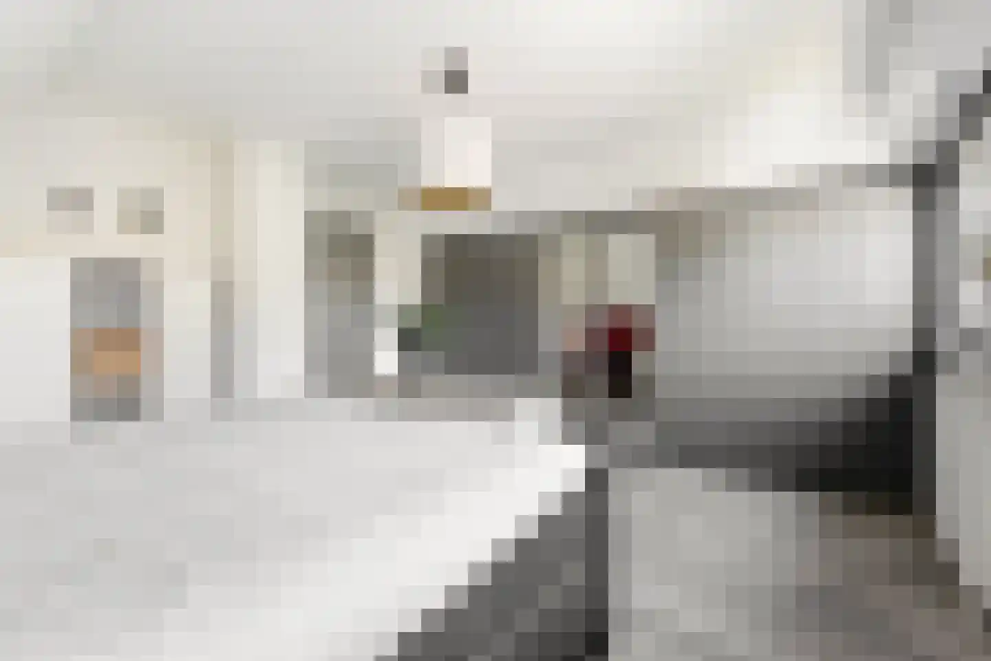 Wilgenhof 2 Streefkerk thumbnail 27