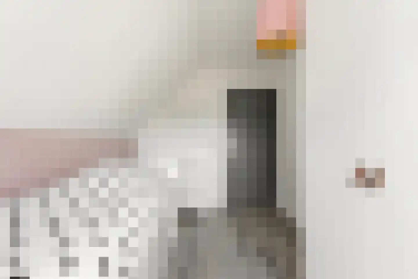 Wilgenhof 2 Streefkerk thumbnail 31