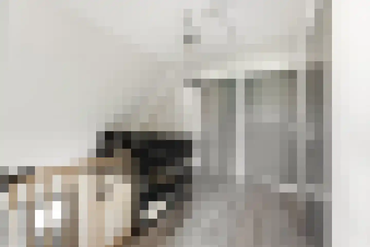 Wilgenhof 2 Streefkerk thumbnail 34