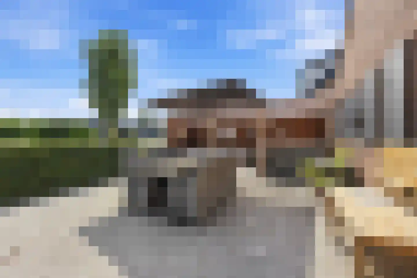 Wilgenhof 2 Streefkerk thumbnail 42