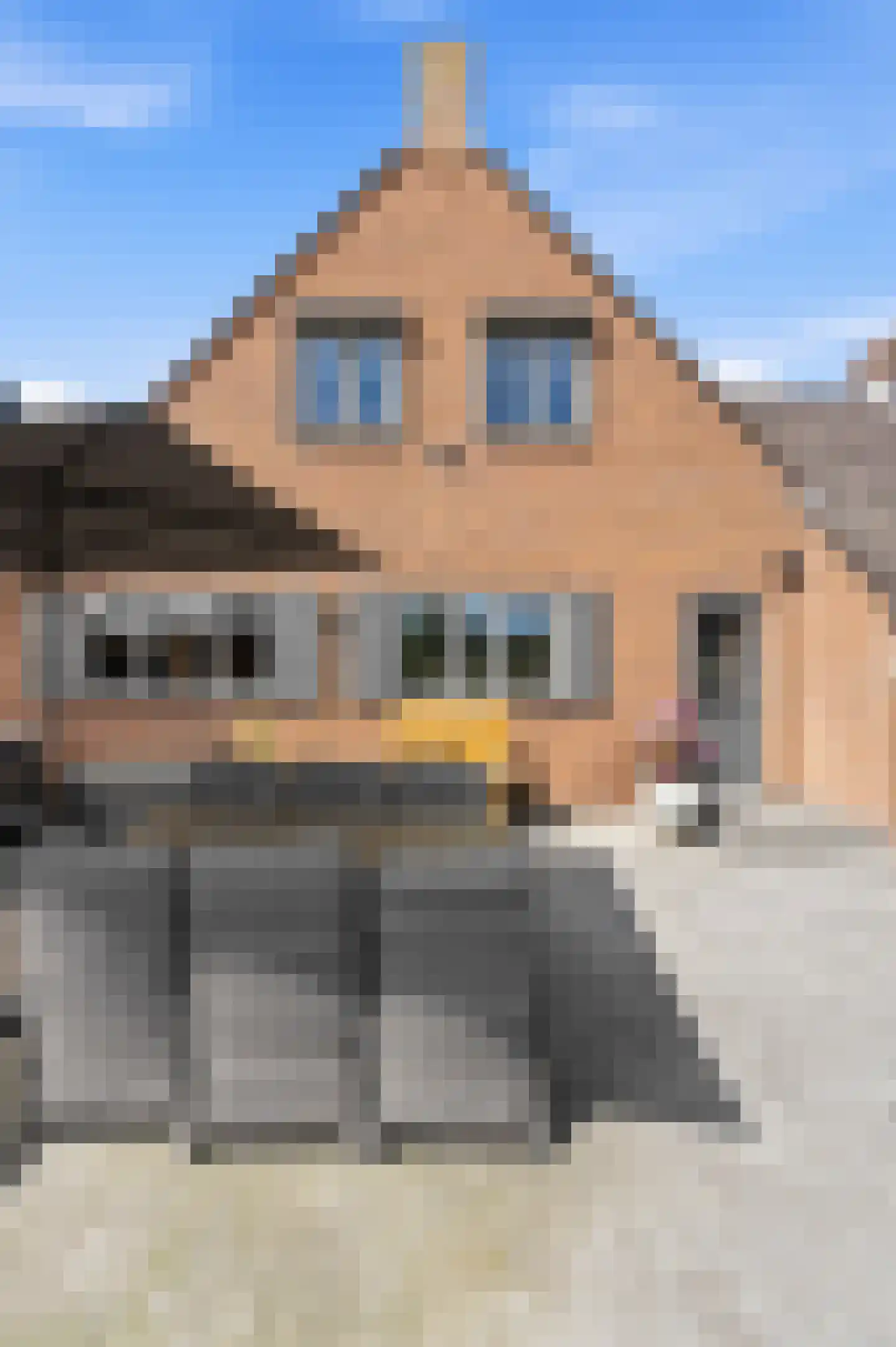 Wilgenhof 2 Streefkerk thumbnail 42