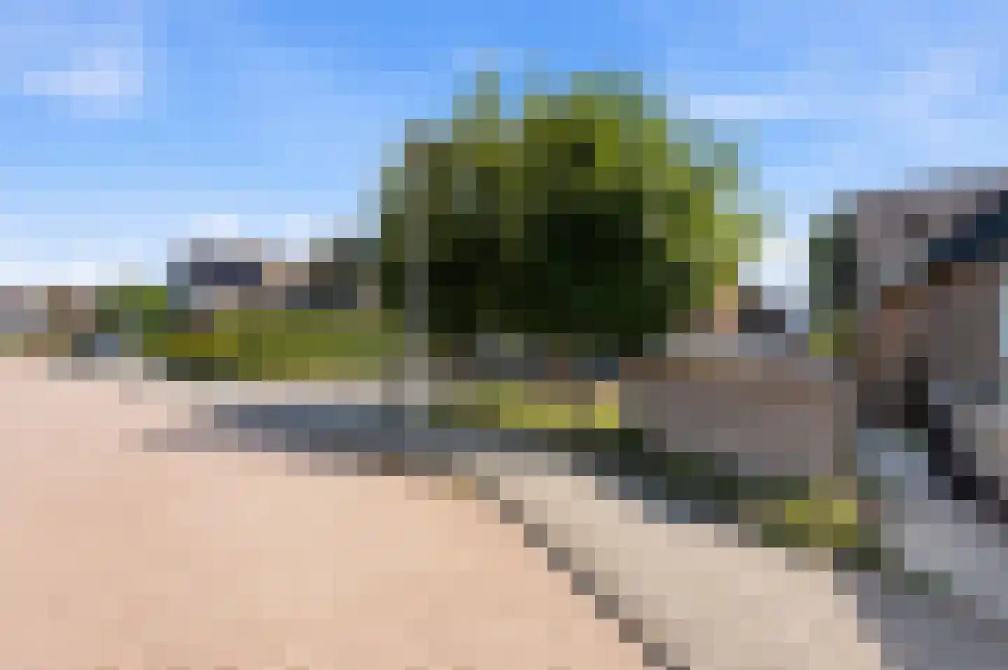 Wilgenhof 2 Streefkerk thumbnail 48