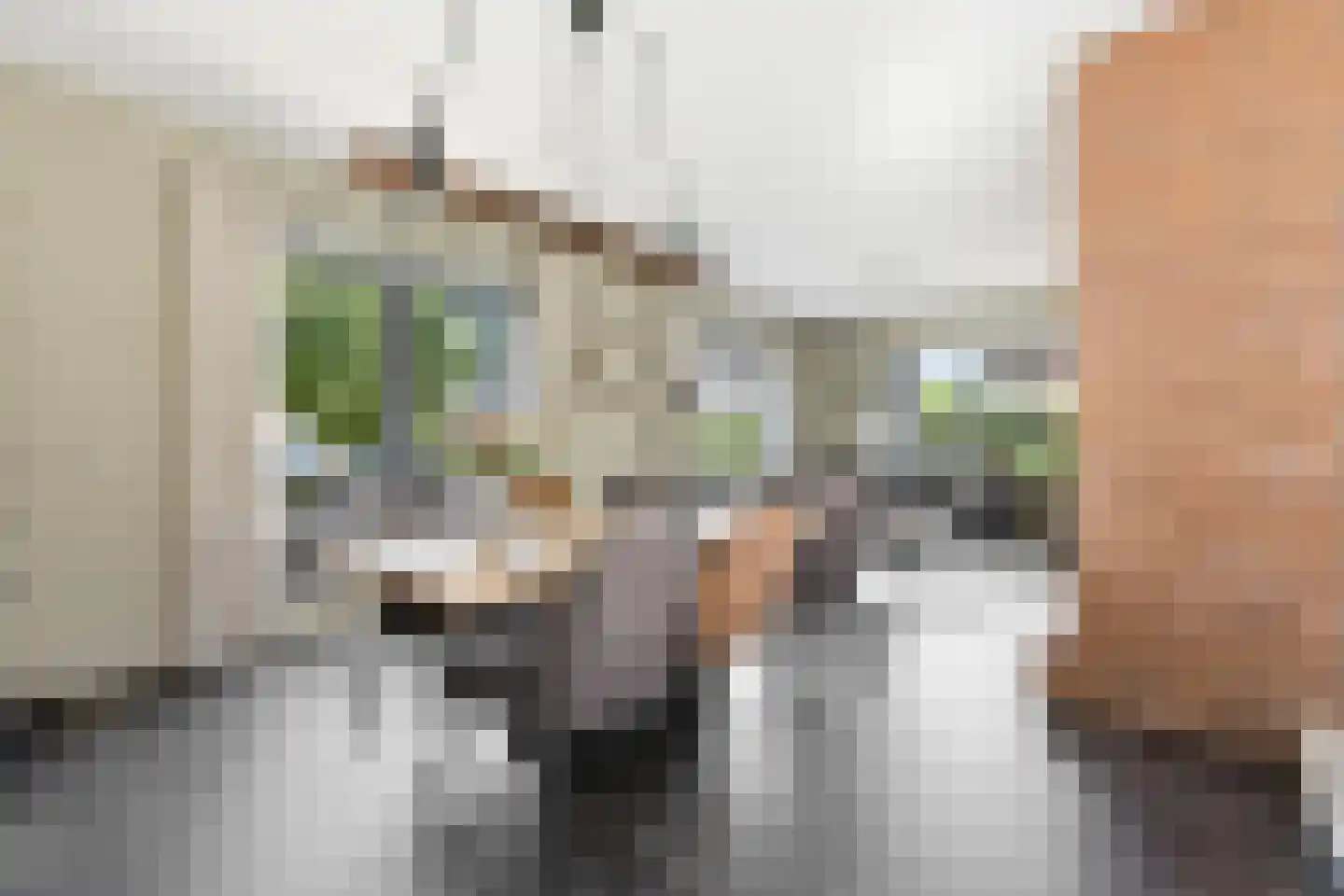 Wilgenhof 2 Streefkerk thumbnail 5
