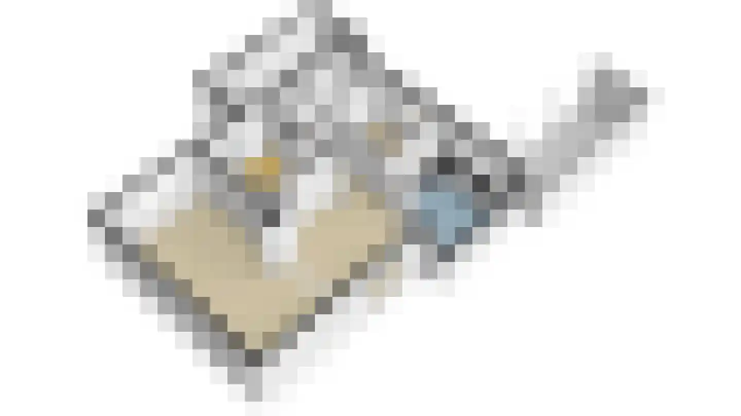 Wilgenhof 2 Streefkerk thumbnail 56