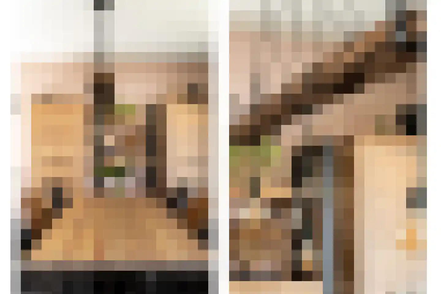 Wilgenhof 2 Streefkerk thumbnail 6