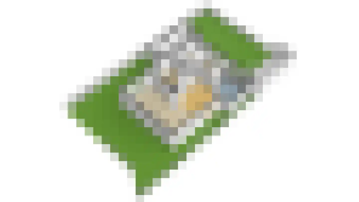 Wilgenhof 2 Streefkerk thumbnail 62