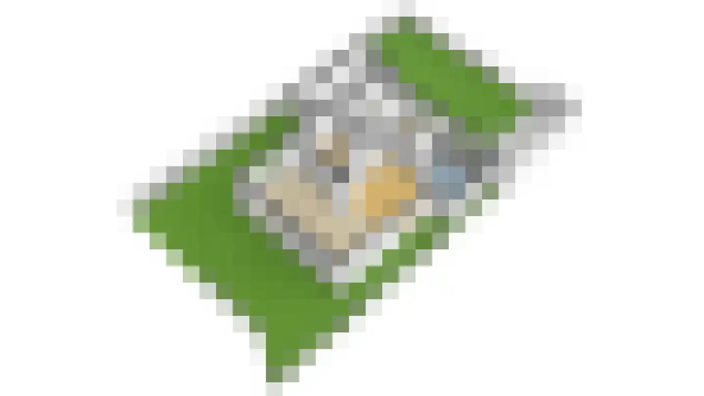 Wilgenhof 2 Streefkerk thumbnail 63