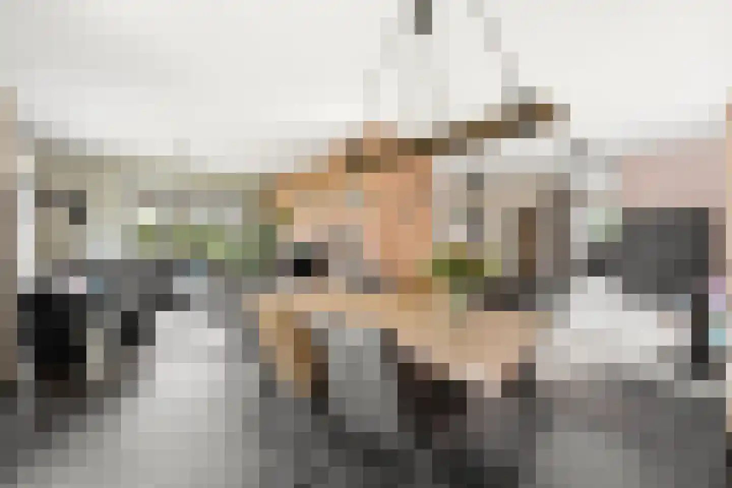 Wilgenhof 2 Streefkerk thumbnail 8
