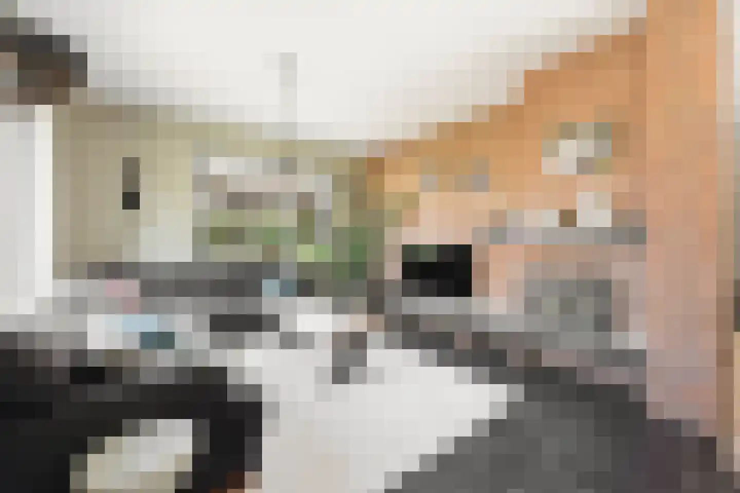 Wilgenhof 2 Streefkerk thumbnail 9