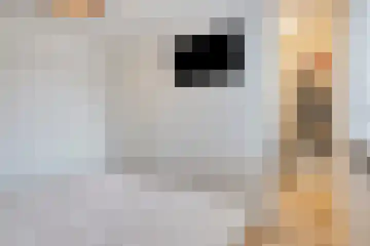 Wilgenhof 20 Deurne thumbnail 16