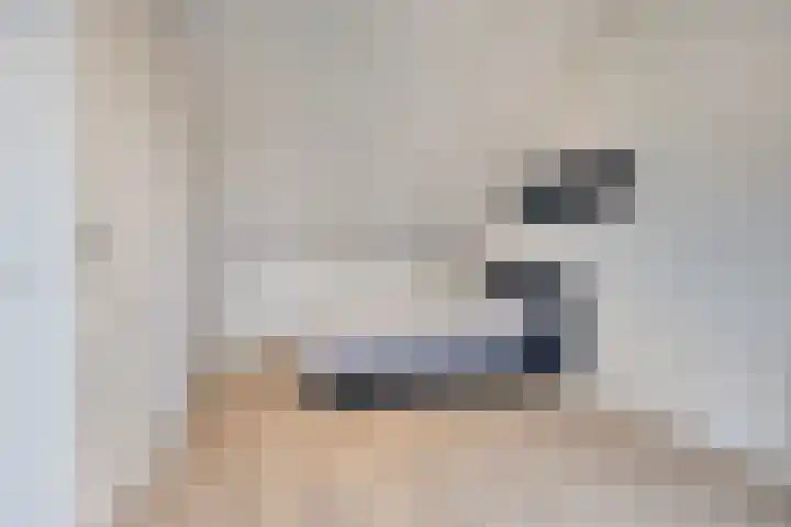 Wilgenhof 20 Deurne thumbnail 22