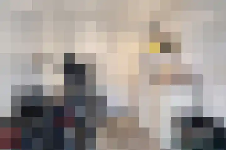 Wilgenhof 20 Deurne thumbnail 29