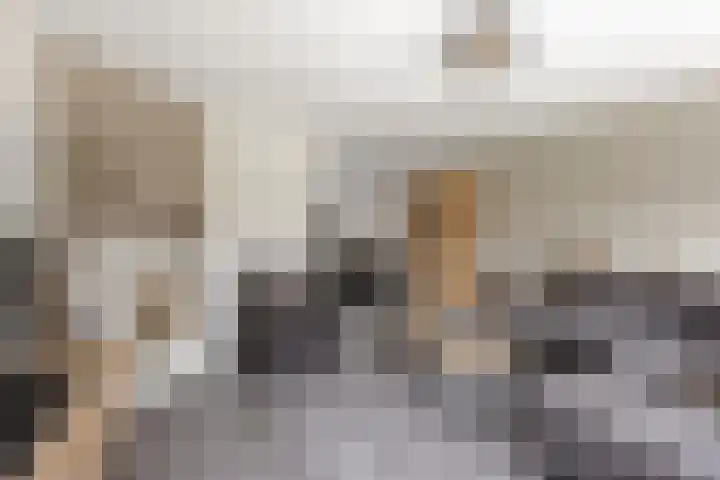 Wilgenhof 21 Giessen thumbnail 12