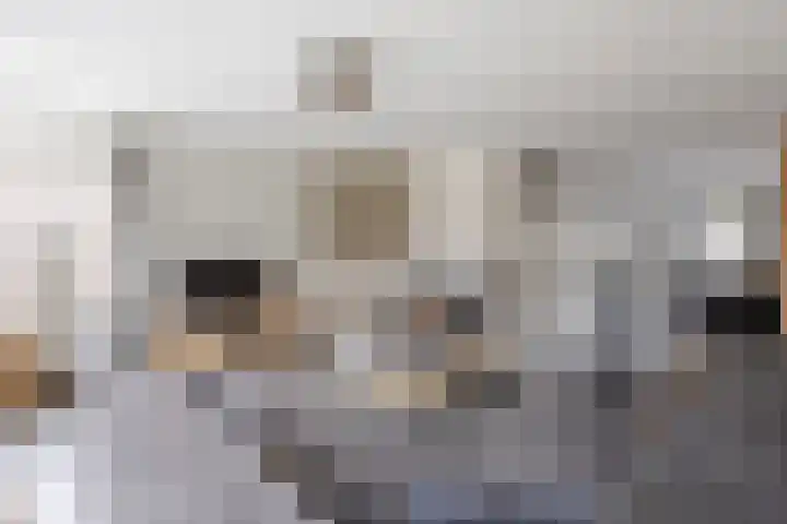Wilgenhof 21 Giessen thumbnail 13