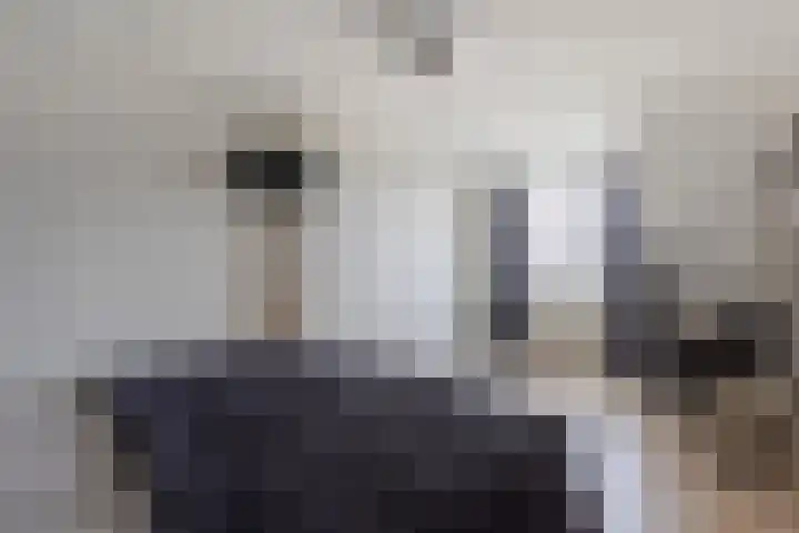Wilgenhof 21 Giessen thumbnail 36