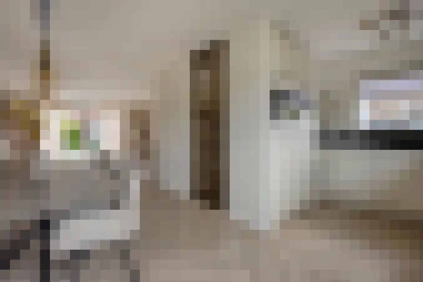 Wilgenhof 244 Papendrecht thumbnail 11