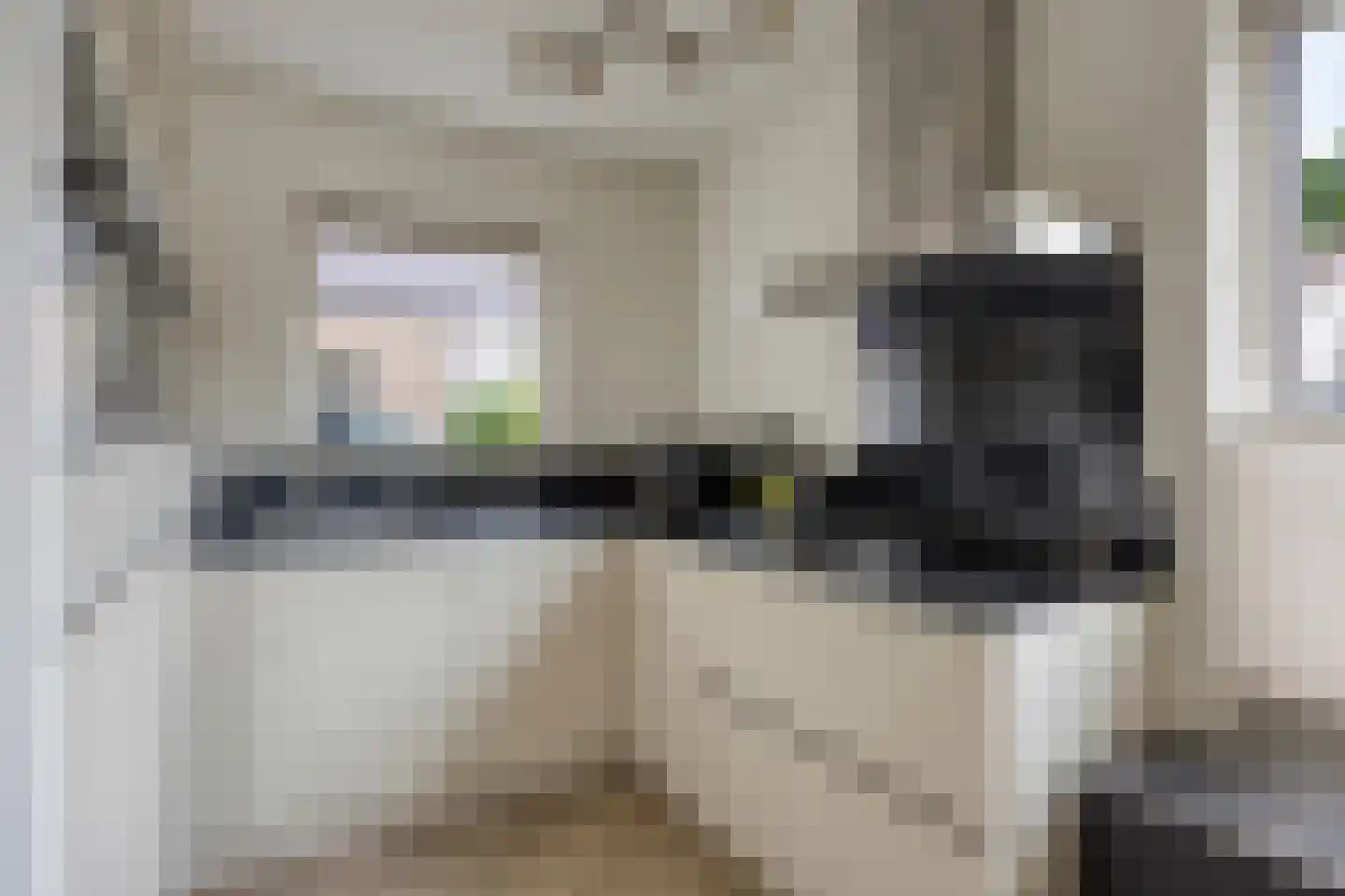 Wilgenhof 244 Papendrecht thumbnail 13