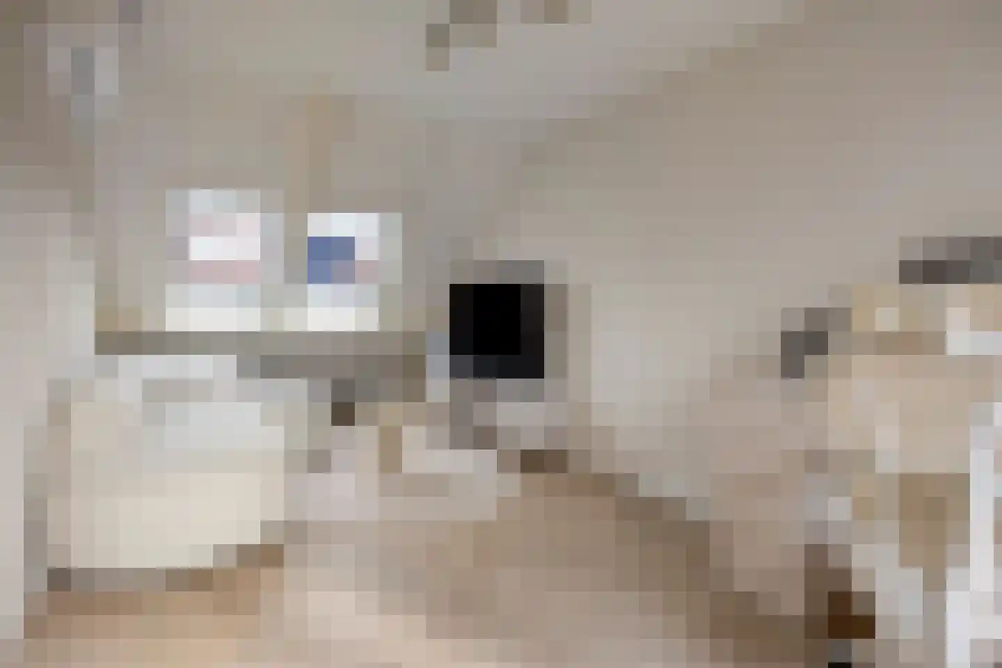 Wilgenhof 244 Papendrecht thumbnail 14