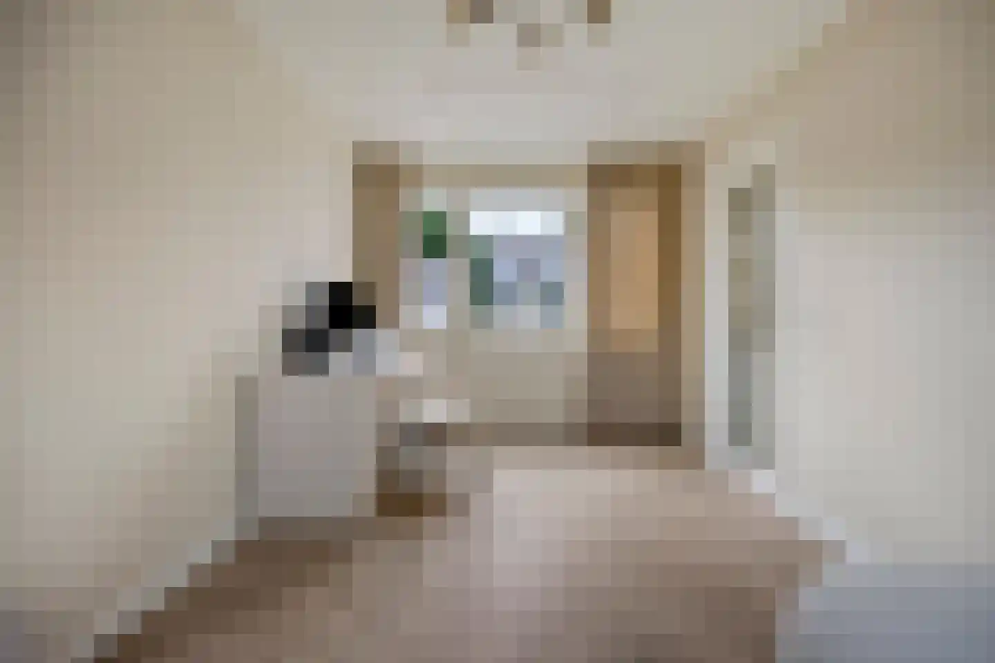 Wilgenhof 244 Papendrecht thumbnail 15
