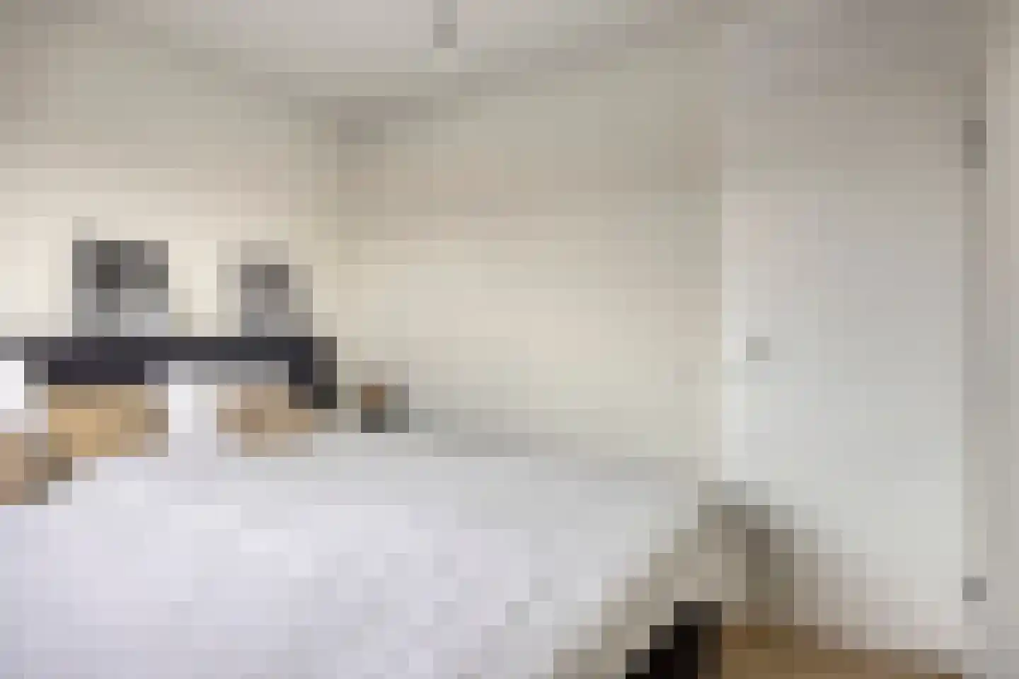 Wilgenhof 244 Papendrecht thumbnail 21
