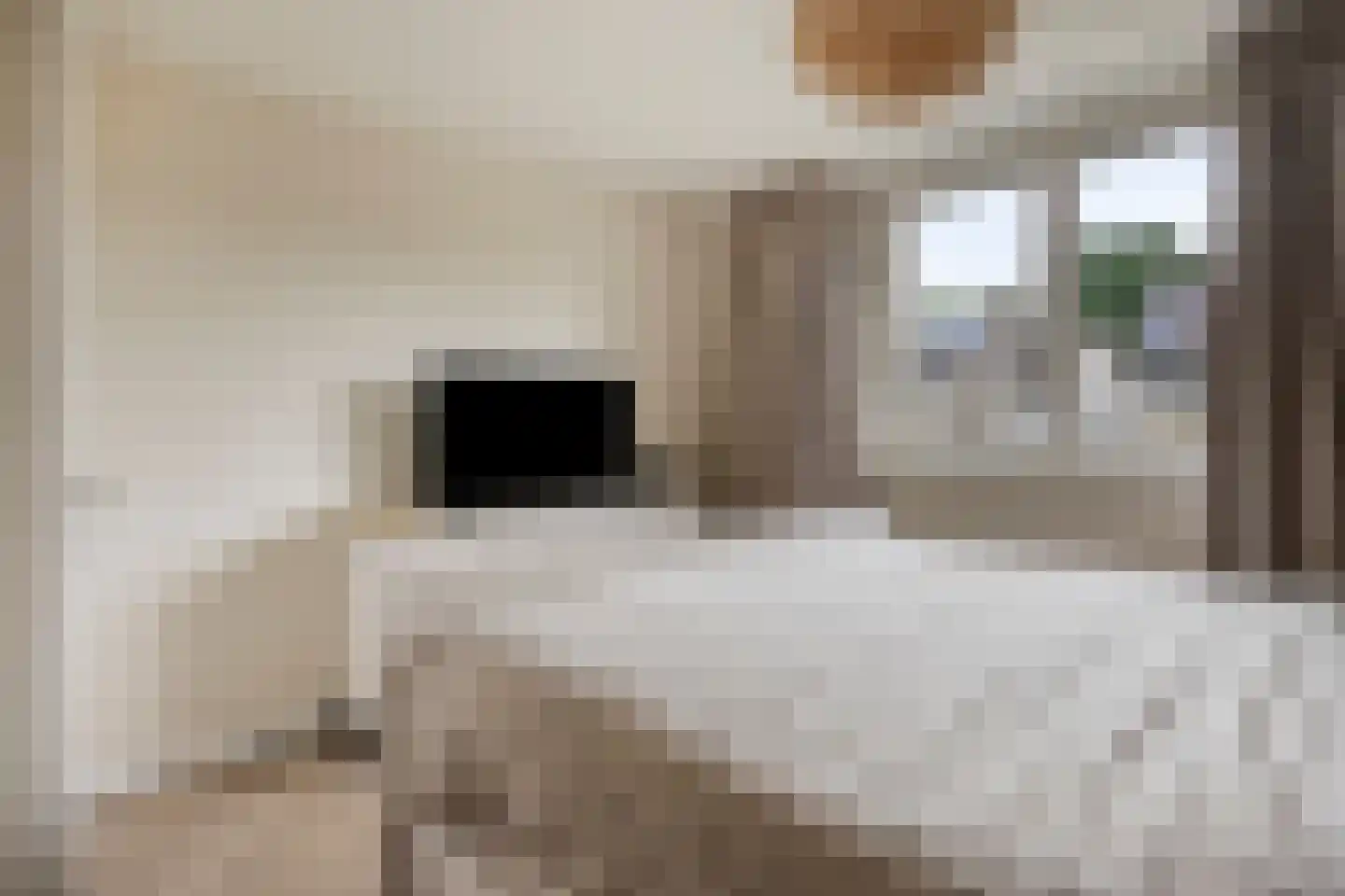 Wilgenhof 244 Papendrecht thumbnail 22
