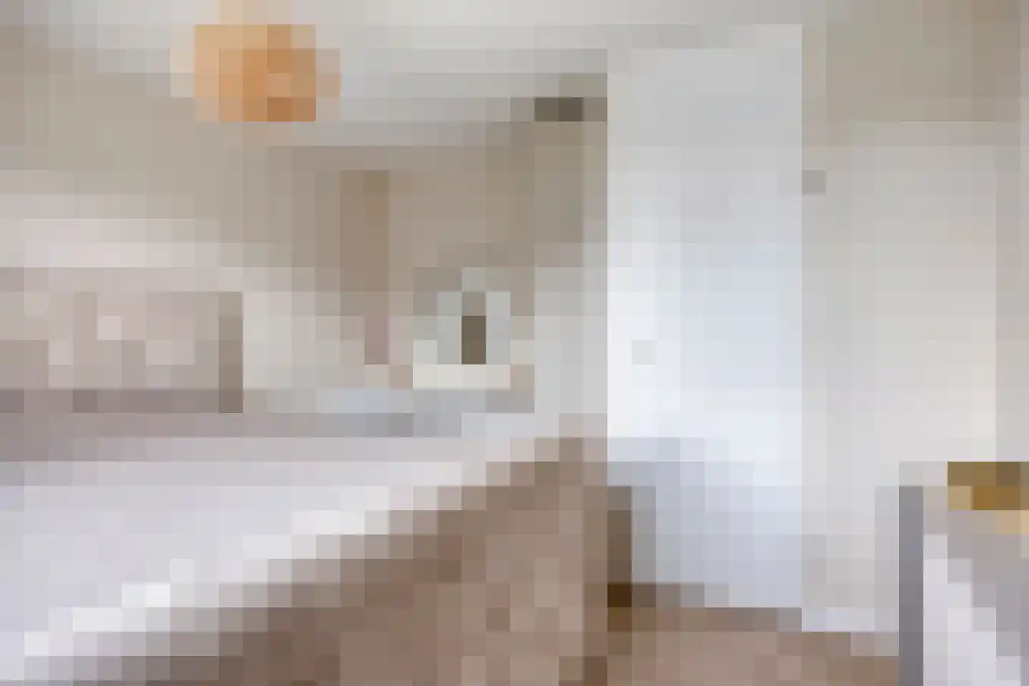 Wilgenhof 244 Papendrecht thumbnail 23