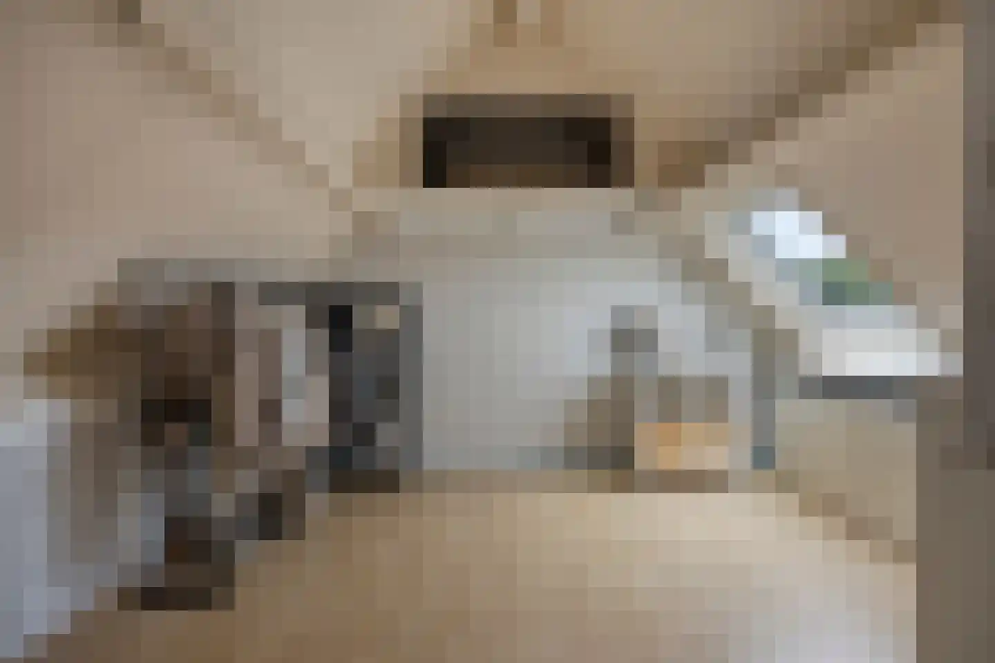 Wilgenhof 244 Papendrecht thumbnail 26