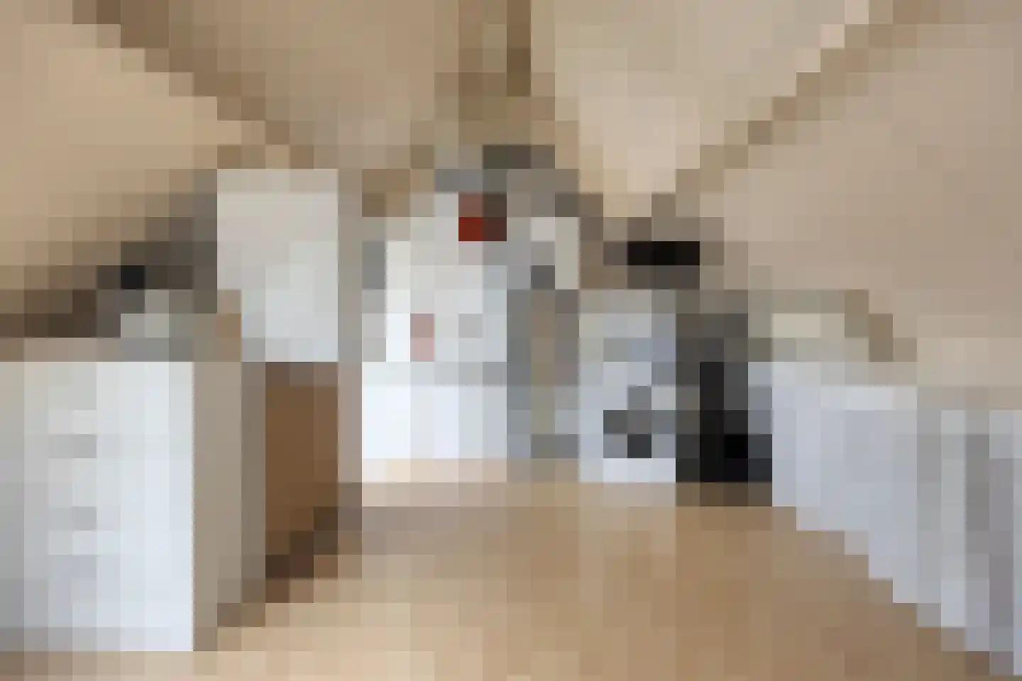 Wilgenhof 244 Papendrecht thumbnail 27