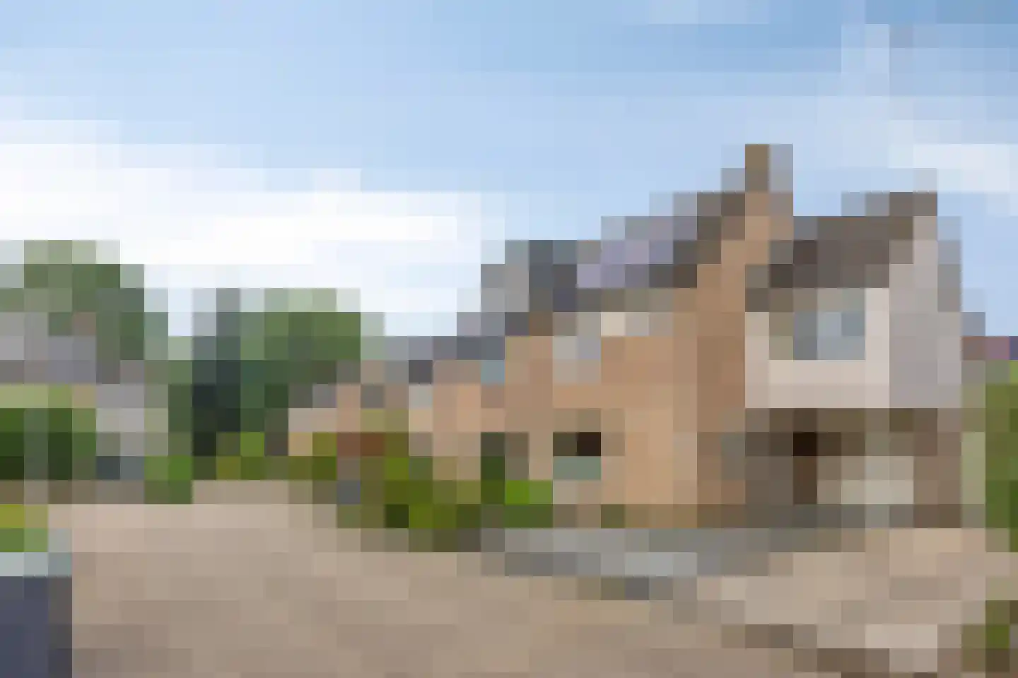 Wilgenhof 244 Papendrecht thumbnail 30