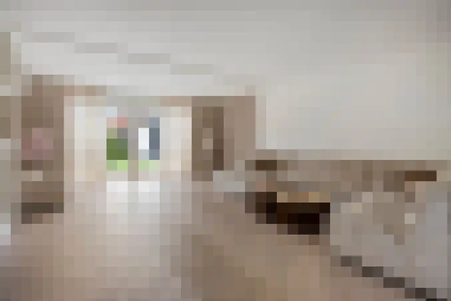 Wilgenhof 244 Papendrecht thumbnail 4