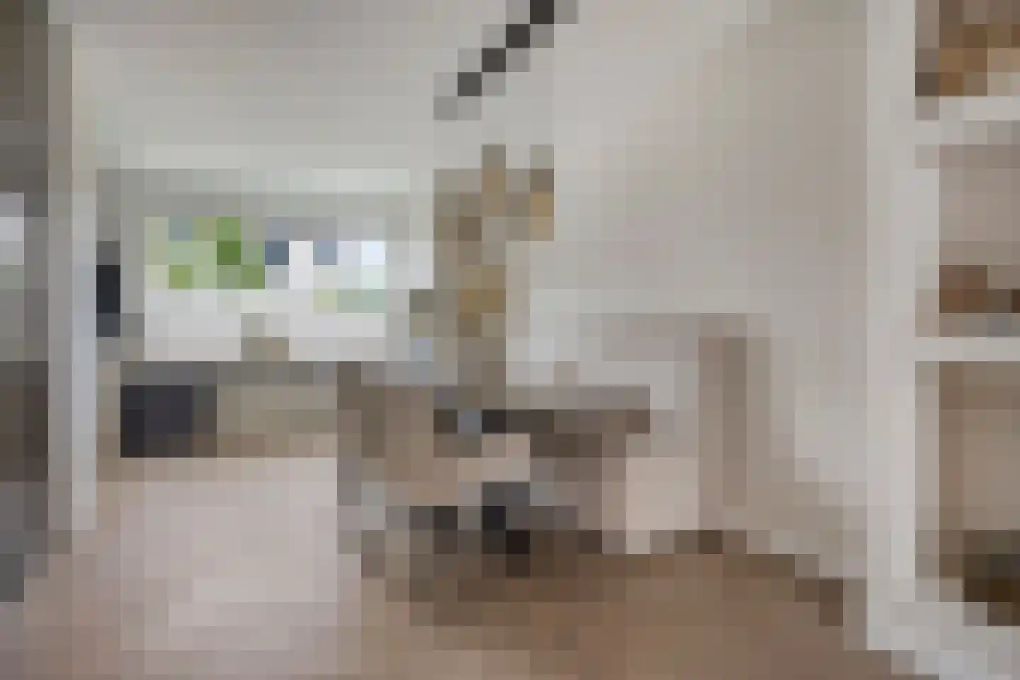 Wilgenhof 244 Papendrecht thumbnail 8