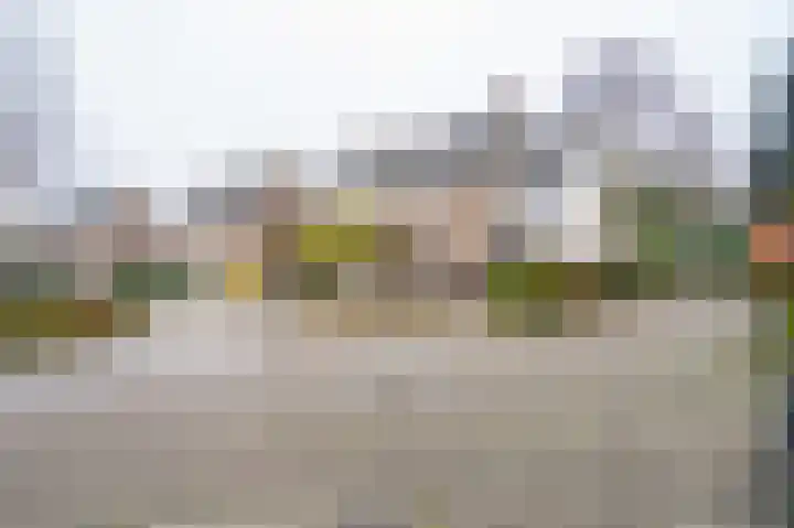 Wilgenhof 246 Papendrecht thumbnail 35