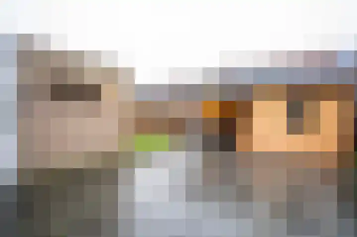 Wilgenhof 246 Papendrecht thumbnail 4