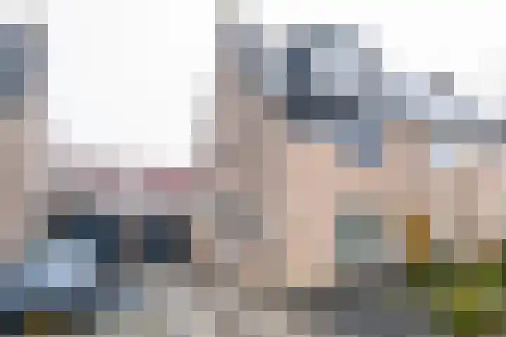 Wilgenhof 246 Papendrecht thumbnail 5