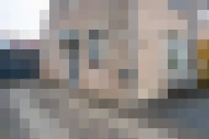 Wilgenhof 246 Papendrecht thumbnail 6