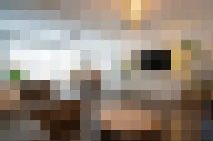 Wilgenhof 246 Papendrecht thumbnail 7