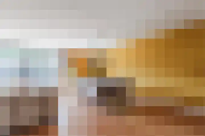 Wilgenhof 25 De Kwakel thumbnail 14