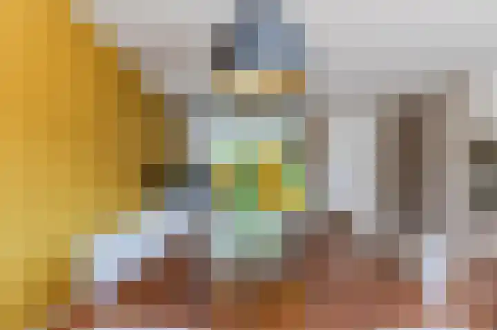 Wilgenhof 25 De Kwakel thumbnail 17