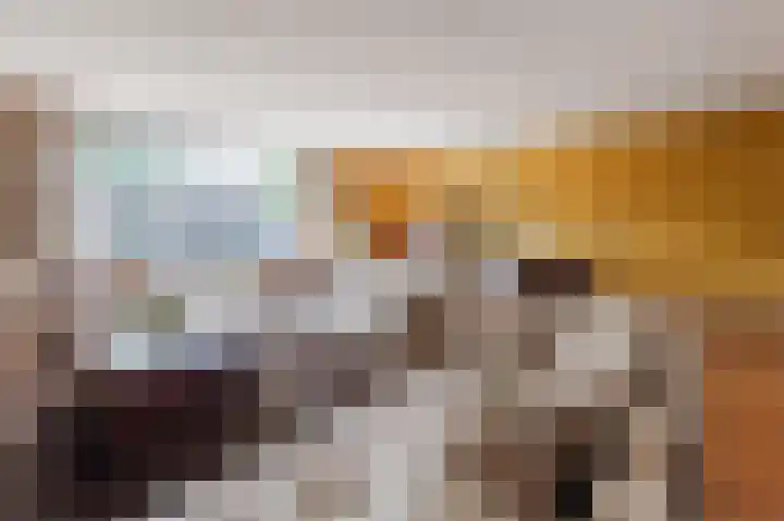 Wilgenhof 25 De Kwakel thumbnail 18