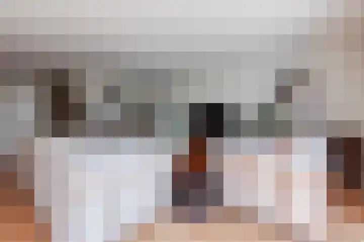 Wilgenhof 25 De Kwakel thumbnail 19