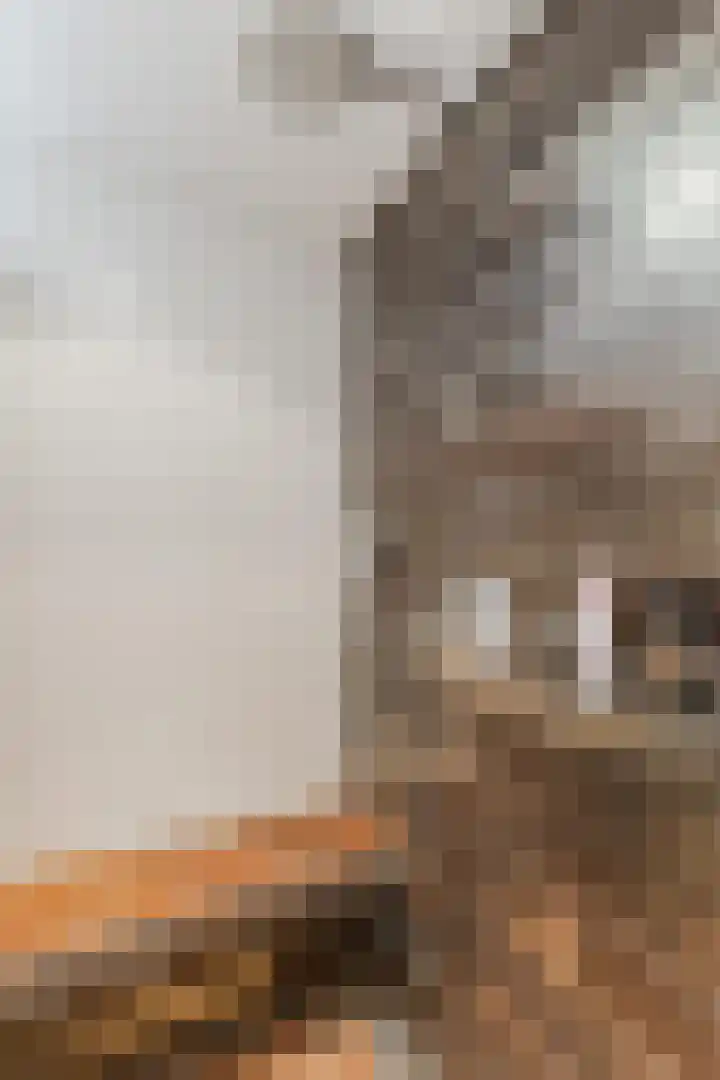 Wilgenhof 25 De Kwakel thumbnail 32