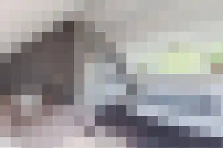Wilgenhof 25 De Kwakel thumbnail 36