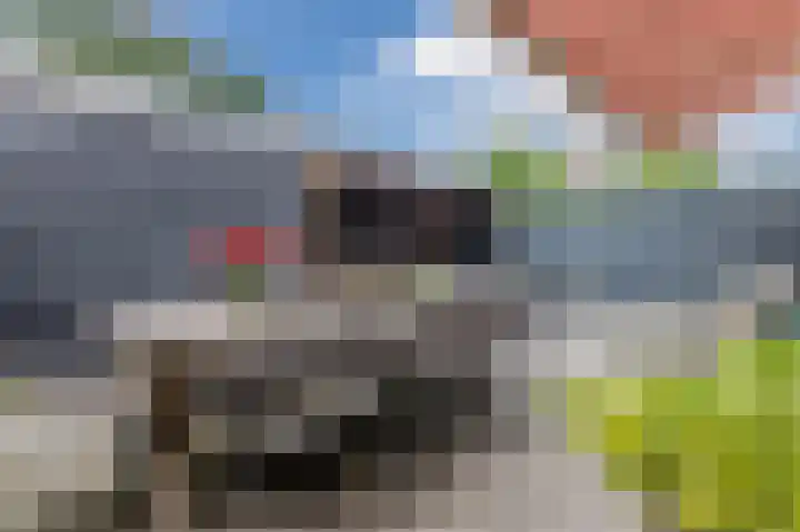 Wilgenhof 25 De Kwakel thumbnail 41