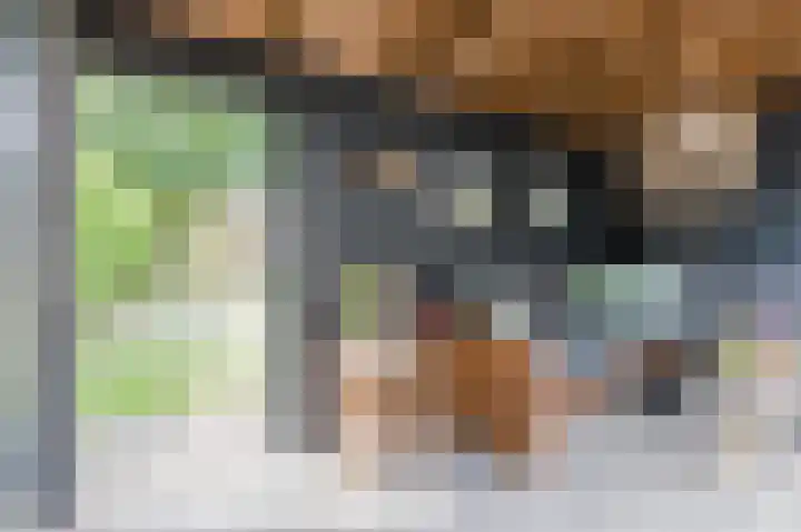 Wilgenhof 25 De Kwakel thumbnail 43
